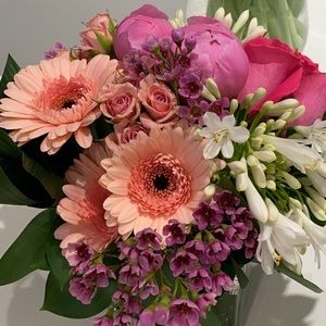 Meet your Posher, Shelby